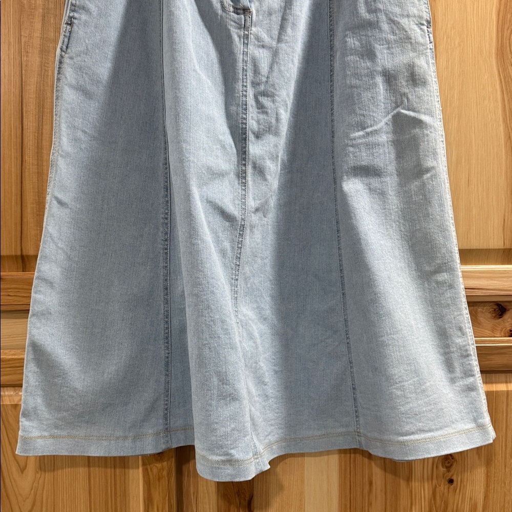 Belle Vere Anthropologie Light Blue Denim Full A-Line Cottagecore Skirt Size L - Picture 3 of 10